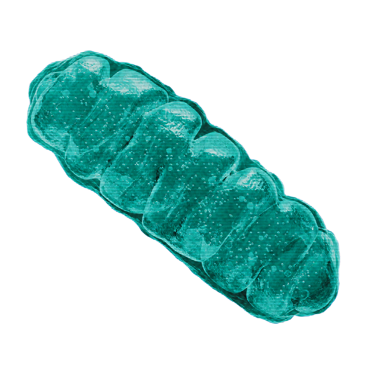 Detaillierte Darstellung eines Mitochondriums